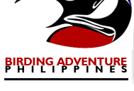 Birding Adventure Philippines  logo - The Philippine Eagle. 