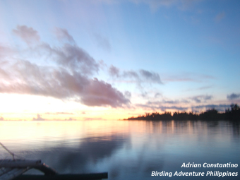 Early sunrise at Rasa Island, Palawan, Philippines / © Adrian Constantino, Birding Adventure Philippines