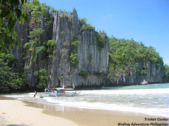 Limestone cliffs at Underground River, Palawan