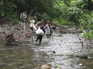 Birders crossing streams in Iwahig